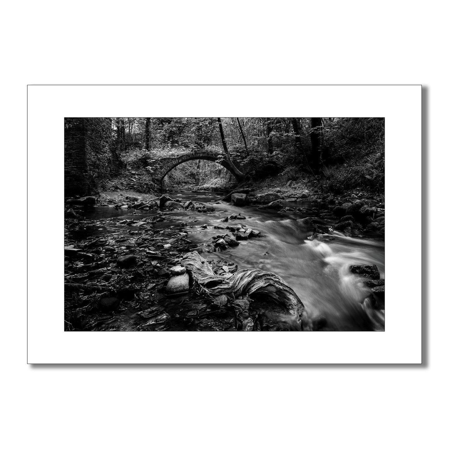 A captivating black and white art print showcasing the dynamic interplay of light and shadow on a rushing stream in the Ashworth Valley. A fallen tree branch, etched with the marks of time, adds a touch of rustic charm.