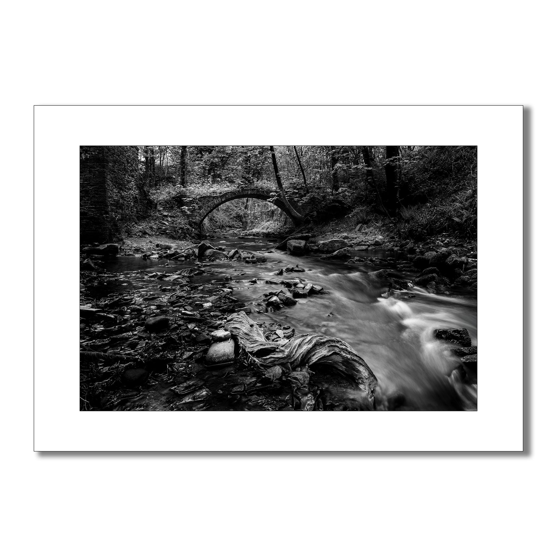 A captivating black and white art print showcasing the dynamic interplay of light and shadow on a rushing stream in the Ashworth Valley. A fallen tree branch, etched with the marks of time, adds a touch of rustic charm.