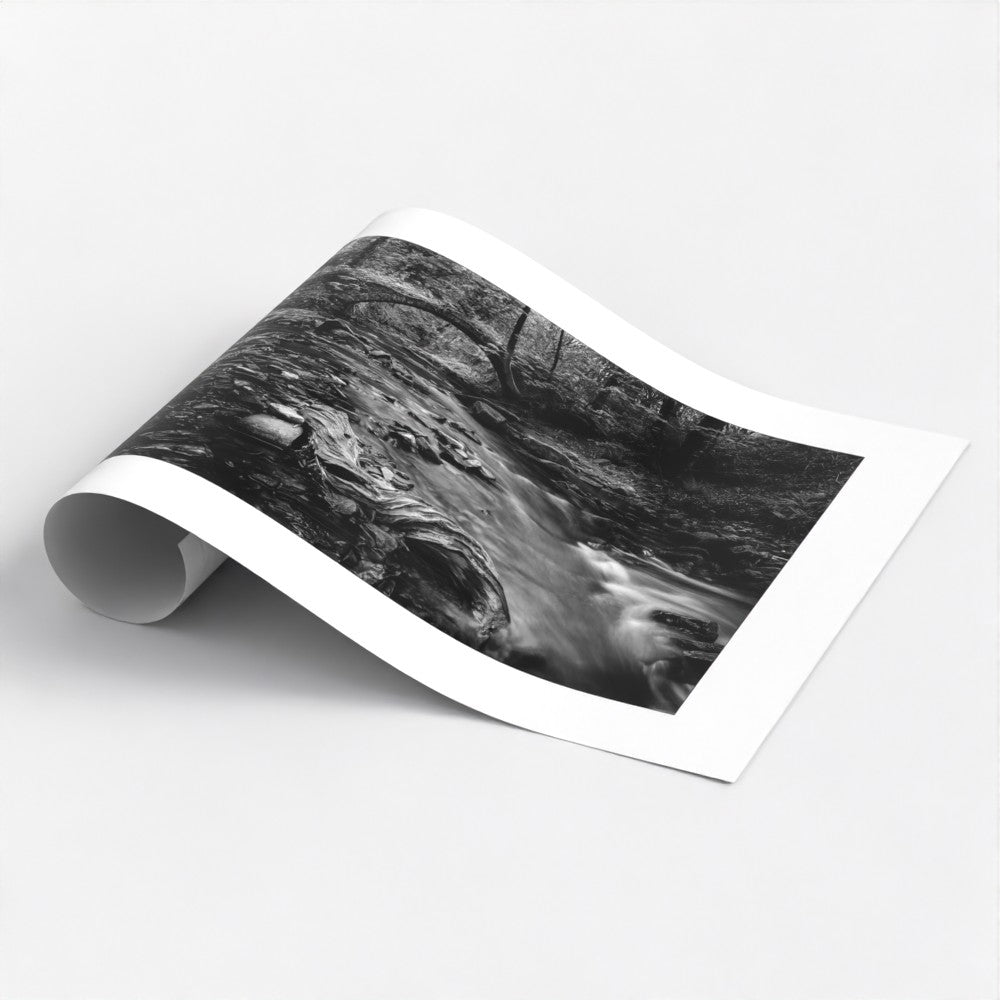 A captivating black and white art poster  print showcasing the dynamic interplay of light and shadow on a rushing stream in the Ashworth Valley. A fallen tree branch, etched with the marks of time, adds a touch of rustic charm.