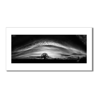 Monochrome art print capturing the dramatic silhouette of an ancient oak tree under dramatic arched cloud formation in Oxfordshire.