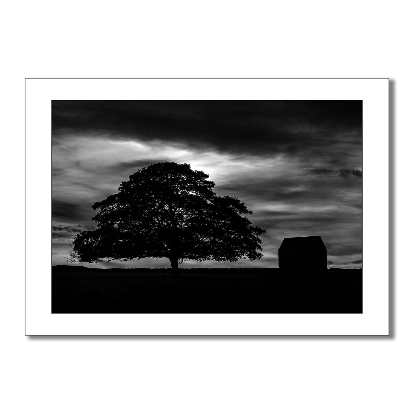 Experience the serenity of the countryside with this captivating black and white art print of the silhouette of a tree and barn under a night sky evokes a sense of peace and tranquility