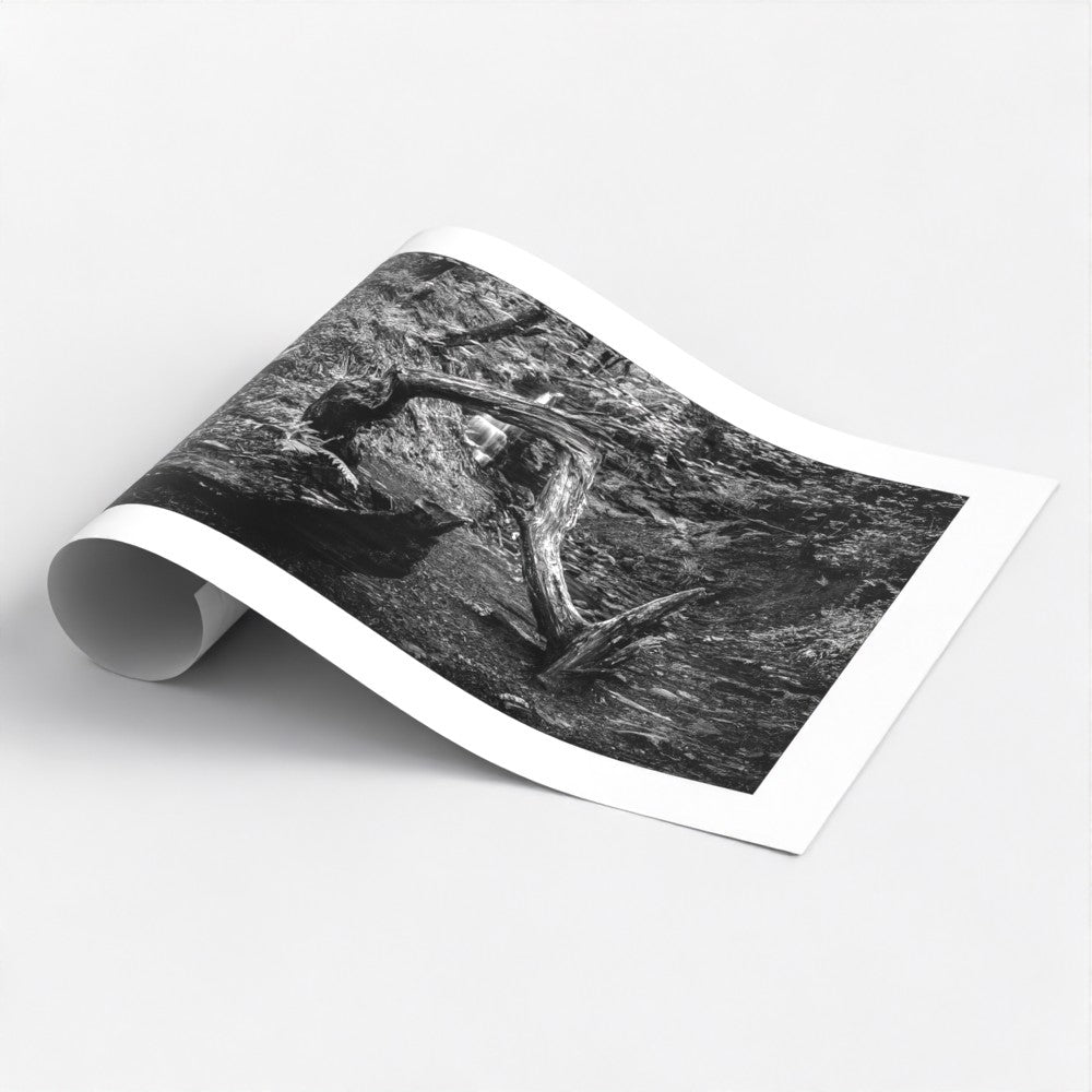 Time seems to stand still in this black and white art poster print of two brooks waterfall. The weathered tree branch frames the scene, hinting at the passage of time and the enduring power of nature.