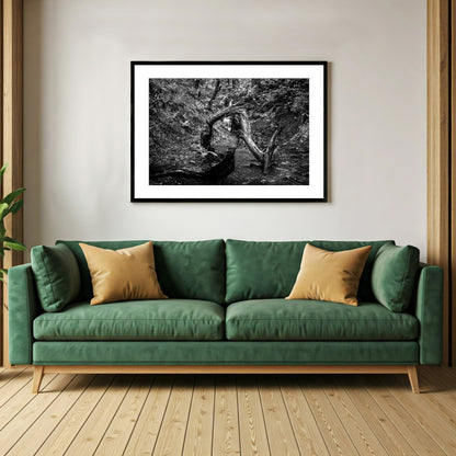 Time seems to stand still in this black and white wall art print of two brooks waterfall. The weathered tree branch frames the scene, hinting at the passage of time and the enduring power of nature.